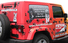 Vehicle Pet Graphic