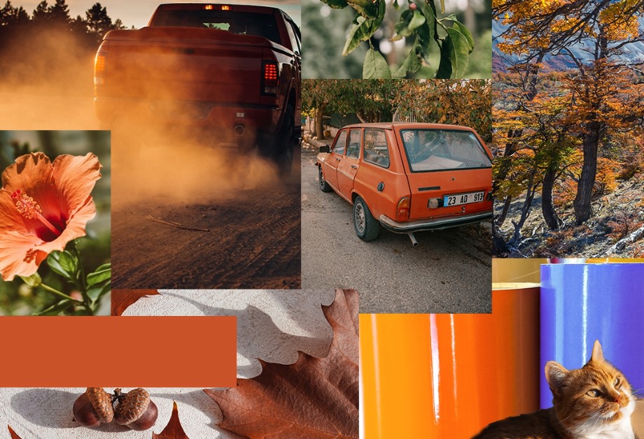 Vinyl Color Matching Services | Avery Dennison | Graphics