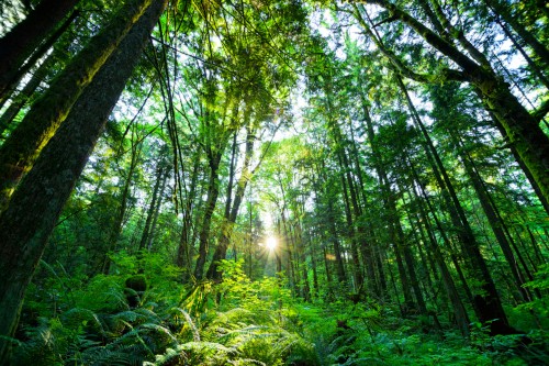 Avery Dennison Sustainability Goals
