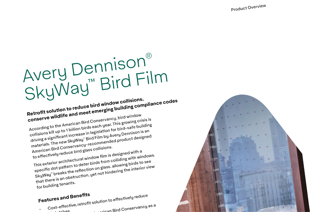 skyway-bird-film